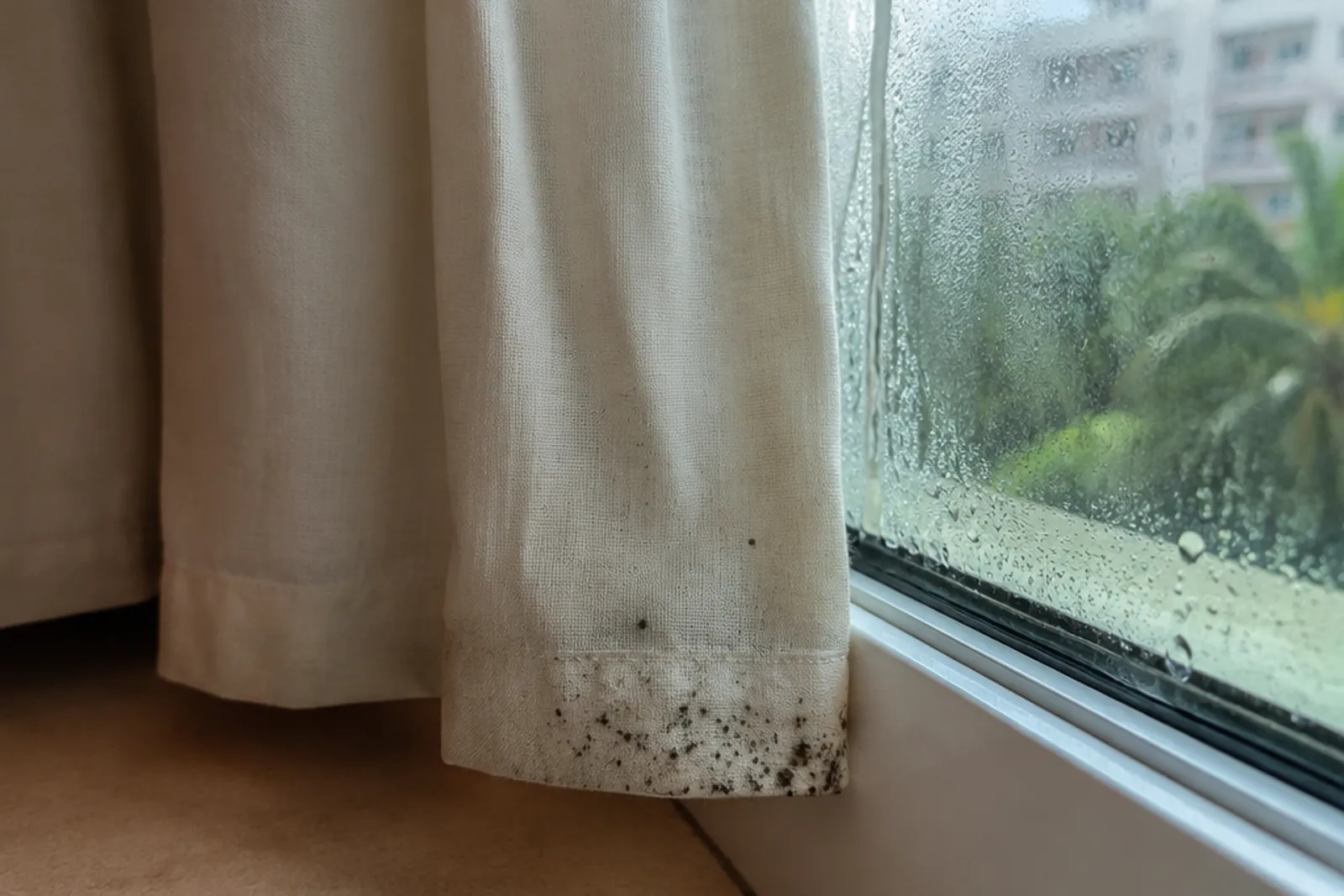 Close-up of a beige curtain hem with black mould spots beside a window covered in condensation.